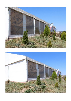 SE VENDE CARPA SEMINUEVA